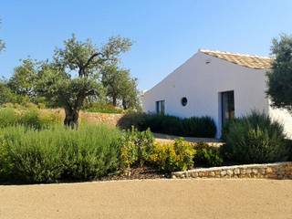 JARDIMGARVE Jardin méditerranéen