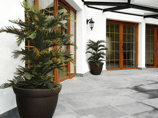 Decoración con plantas en interiores y exteriores , Ranka Follaje Sintético Ranka Follaje Sintético Koridor & Tangga Modern