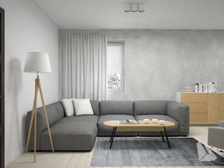 Mieszkanie 3 - Kraków, Dream Design Dream Design Modern living room