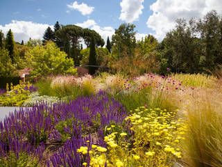 Green roof in Madrid , Planta Paisajistas Planta Paisajistas Mediterranean style gardens