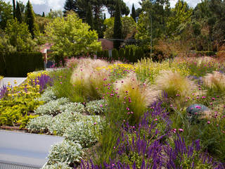 Green roof in Madrid , Planta Paisajistas Planta Paisajistas Mediterranean style garden