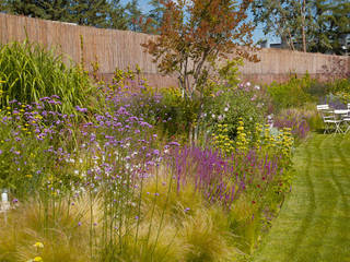 Jardín en Madrid , Planta Paisajistas Planta Paisajistas Modern garden