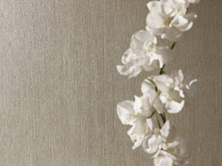 AP Longlife Colours – Exklusive Wandkleider, Architects Paper Architects Paper Modern walls & floors Brown