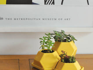 Trimaceta, Bizcocho Bizcocho Modern Garden Pottery Yellow