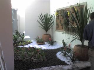 JARDIM VERTICAL, Borges Arquitetura & Paisagismo Borges Arquitetura & Paisagismo Garden Plants & flowers