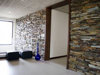 MOLDURAS EN MADERA DE LENGA, Ignisterra S.A. Ignisterra S.A. Modern Windows and Doors Wood Wood effect