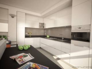 HOUSE IML, Ivan Rivoltella Ivan Rivoltella Modern kitchen