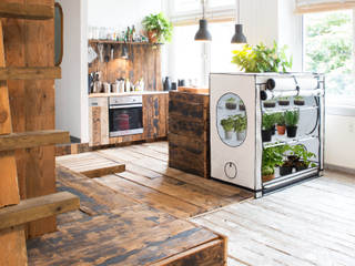 Zimmergewächsraum für moderne Wohnküche und Lebensräume, HOMEbox HOMEbox Cocinas modernas: Ideas, imágenes y decoración