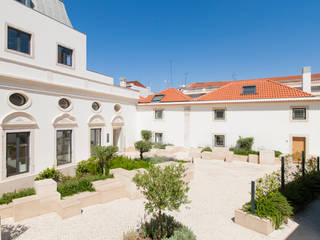 All you need is Portugal HogarPlantas y accesorios