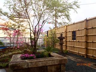 庭咲桜（にわざくら）