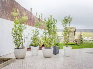 homify Scandinavian style garden