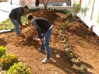 Özel Poliklinik Giriş Düzenlemesi, Point Peyzaj Mimarlığı Point Peyzaj Mimarlığı Modern garden