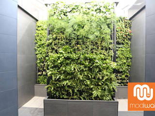 Virgin Active - Menlyn Maine, Modiwall Vertical Gardens Modiwall Vertical Gardens พื้นที่เชิงพาณิชย์