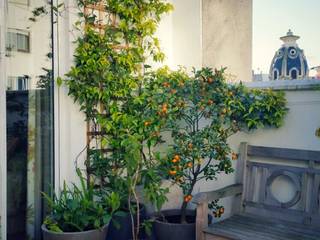Un jardín frondoso en un ático de ciudad, albion985 albion985 Terrace
