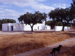 House in Pavia, Pedro Mendes Arquitectos Pedro Mendes Arquitectos Casas mediterrânicas