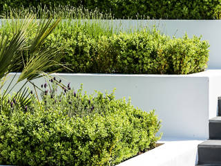 HOUSE FRONTAGE DESIGN, Concept Landscape Architects Concept Landscape Architects