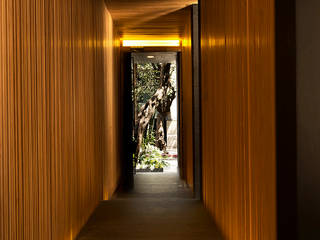 Laredo 18, Wolff Arquitectura Wolff Arquitectura Modern corridor, hallway & stairs Wood Wood effect