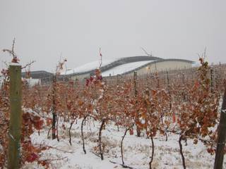 Bodega Patritti S.A., Sidoni&Asoc Sidoni&Asoc Bodegas de vino