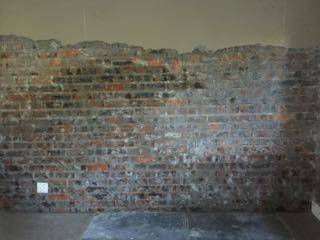 Damp proofing, Painterinc Painterinc