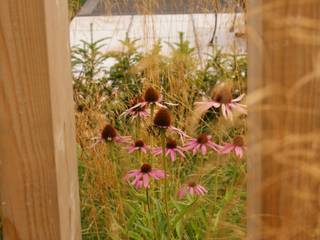Garden Design Poynton, Hannah Collins Garden Design Hannah Collins Garden Design Modern Garden