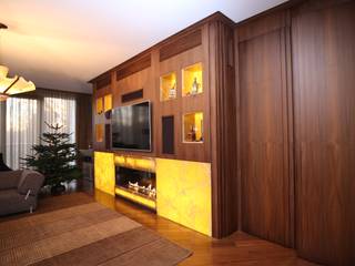 Пламя Оникса, Planika. Intelligent Fire Planika. Intelligent Fire Living room Wood Wood effect