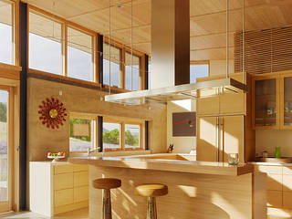 Caterpillar House, Feldman Architecture Feldman Architecture Kitchen