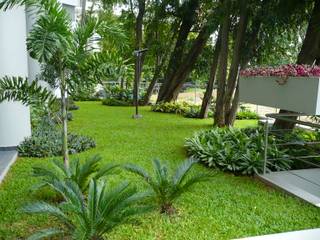 LUXOR TOWERS - PANAMA CITY, TARTE LANDSCAPES TARTE LANDSCAPES Tropical style garden