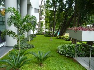 LUXOR TOWERS - PANAMA CITY, TARTE LANDSCAPES TARTE LANDSCAPES Tropical style garden
