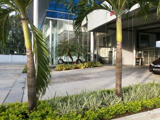 BAHIA MOTORS AT COSTA DEL ESTE - PANAMA CITY, TARTE LANDSCAPES TARTE LANDSCAPES Tropical style garden