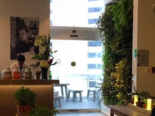 Muro Verde Vapiano Restaurant, Regenera Mx - Fábrica Ecológica Regenera Mx - Fábrica Ecológica حديقة داخلية