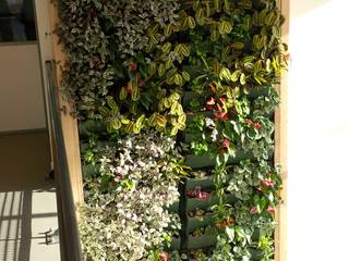 Végétaux naturels - Mur végétal intérieur (Hall avec verrière), Vertical Flore Vertical Flore Giardino interno