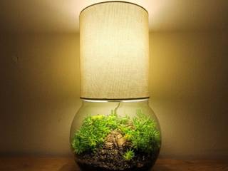 Terrarium Lamp - Personalised, Marga Marga حديقة داخلية زجاج