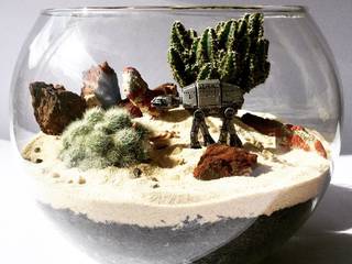 Terrariums, Marga Marga 庭院