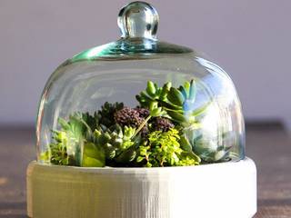 Terrariums, Marga Marga حديقة