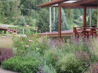 Family garden , Magical Garden Magical Garden Jardines rurales