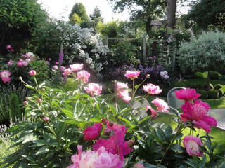 My Cheshire Garden, Caroline Benedict Smith Garden Design Cheshire Caroline Benedict Smith Garden Design Cheshire Jardines clásicos
