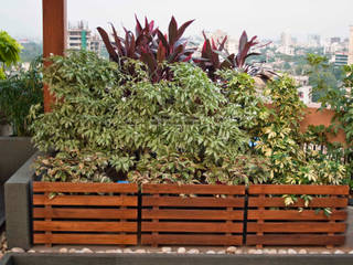 Terrace Garden at Chembur, Land Design landscape architects Land Design landscape architects Modern garden