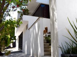 Fachada G79, xma studio xma studio Casas estilo moderno: ideas, arquitectura e imágenes Piedra