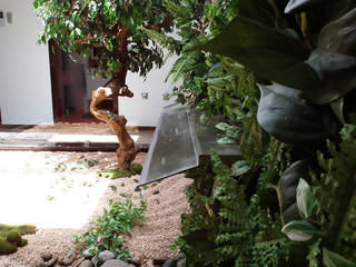 APROplanが手掛けた庭