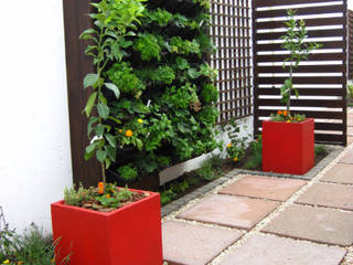 Working with Small Gardens, Young Landscape Design Studio Young Landscape Design Studio Jardines de estilo moderno