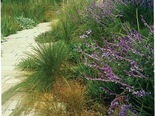 Prairie style large Pavement Garden, Young Landscape Design Studio Young Landscape Design Studio Modern style gardens