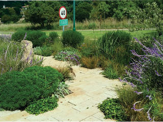 Prairie style large Pavement Garden, Young Landscape Design Studio Young Landscape Design Studio Modern style gardens