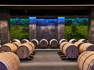 cantina vinicola_Davinum, msplus architettura msplus architettura Modern Home Wine Cellar Slate