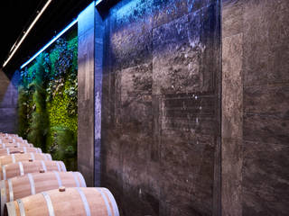 cantina vinicola_Davinum, msplus architettura msplus architettura Modern Home Wine Cellar Slate