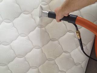 Carpet Cleaning and Stain Removal, Carpet Cleaning Wellington Carpet Cleaning Wellington