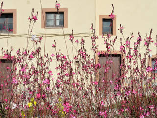 JARDINES, jardinista jardinista Giardino in stile mediterraneo