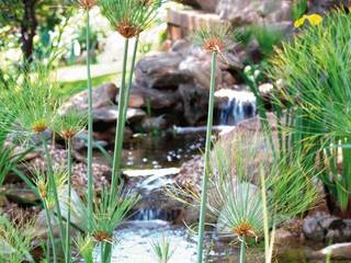 FUENTES Y CASCADAS, jardinista jardinista Mediterranean style garden