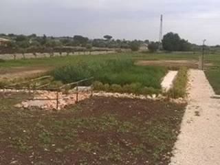 Impianti di fitodepurazione Stabilimento Acque Minerali Santa Maria - MODICA, Biocity Engineering Srl Biocity Engineering Srl Garden