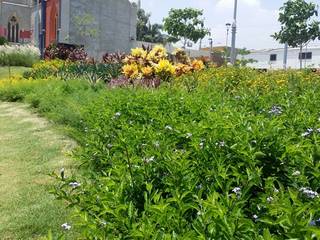 PLAZA SAN ROQUE - BARRANQUILLA - COLOMBIA, BRASSICA SOLUCIONES PAISAJISTICAS S.A.S. BRASSICA SOLUCIONES PAISAJISTICAS S.A.S. Tropical style garden