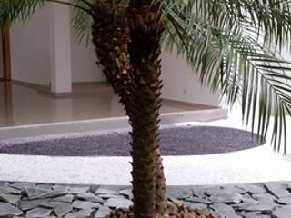 EDIFICIO MIRADOR DE SAN PEDRO - SANTA MARTA/MAGDALENA - COLOMBIA, BRASSICA SOLUCIONES PAISAJISTICAS S.A.S. BRASSICA SOLUCIONES PAISAJISTICAS S.A.S. Tropical style garden